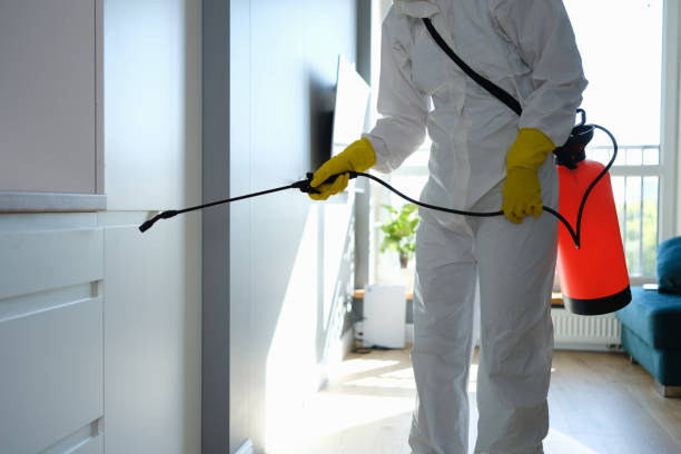 Best Mold Remediation for Specific Building Types in Chillicothe, OH