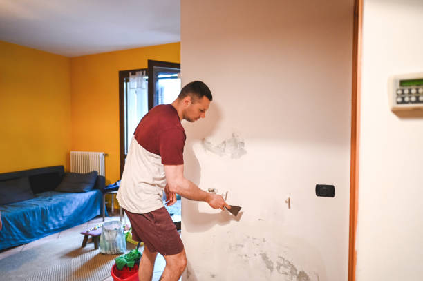 Trusted Chillicothe, OH Mold Remediation Experts